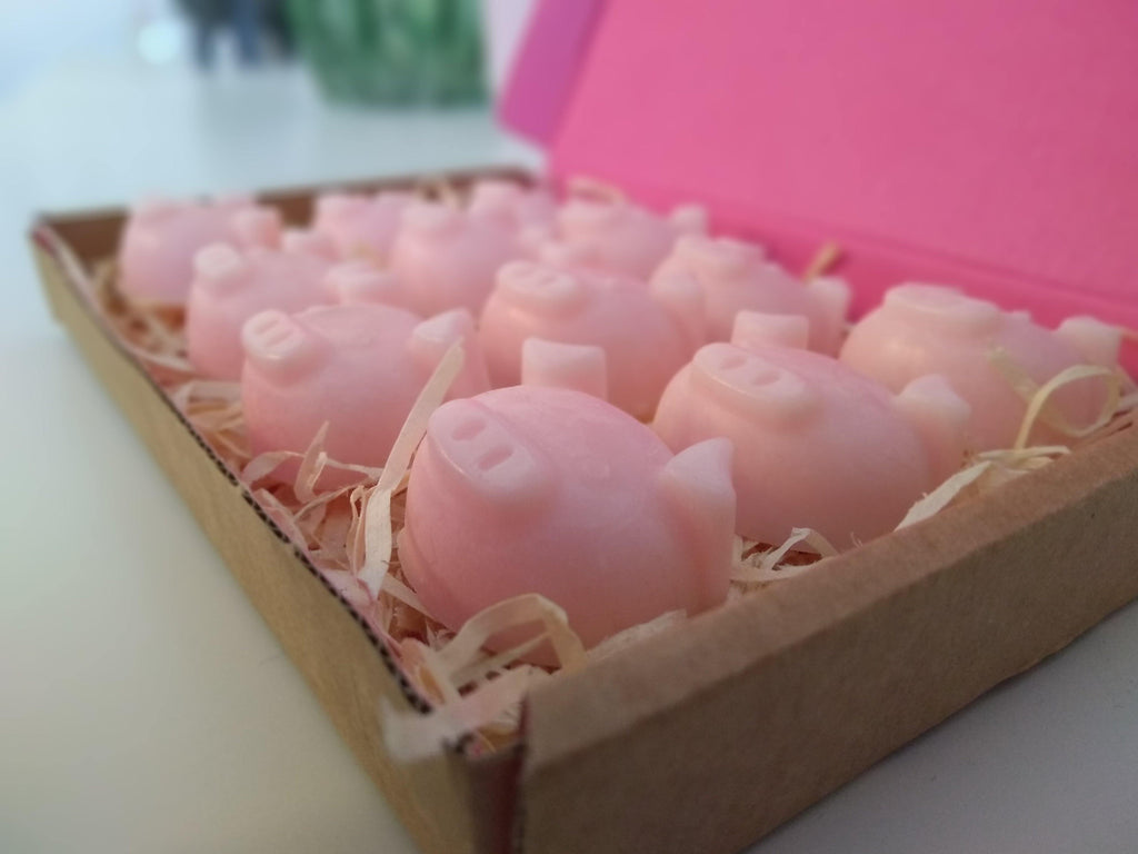 Box of 12 Smelly Pigs® Wax Melts