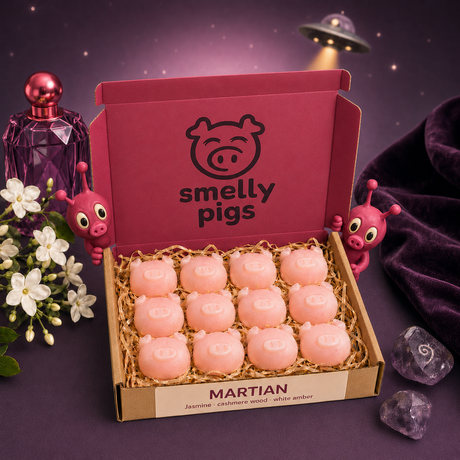 Open box of 12 pink Smelly Pigs Martian wax melts with purple perfume bottle and two playful aliens.